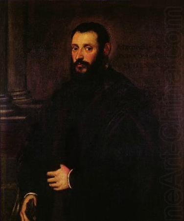 Jacopo Tintoretto Portrait of Nicolaus Padavinus china oil painting image